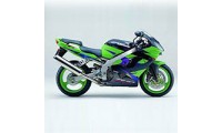2002-2003 Kawasaki ZX9R Verkleidungen Fabrik