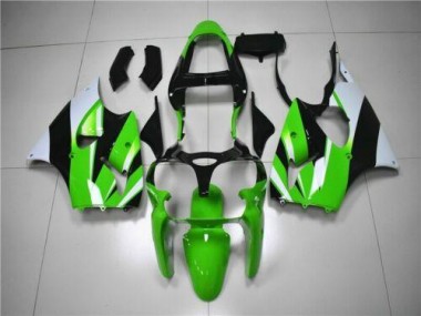 Kawasaki ZX6R 00-02 Verkleidungen - Grün Weiß Schwarz Fabrik