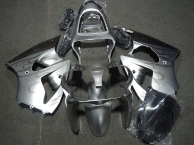 Kawasaki ZX6R 00-02 Verkleidungen - Silber Flamme Fabrik