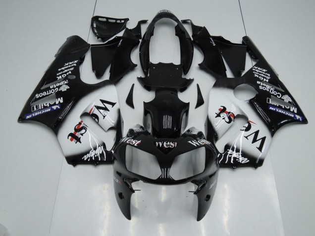 Kawasaki ZX12R 02-06 Verkleidungen - West Fabrik