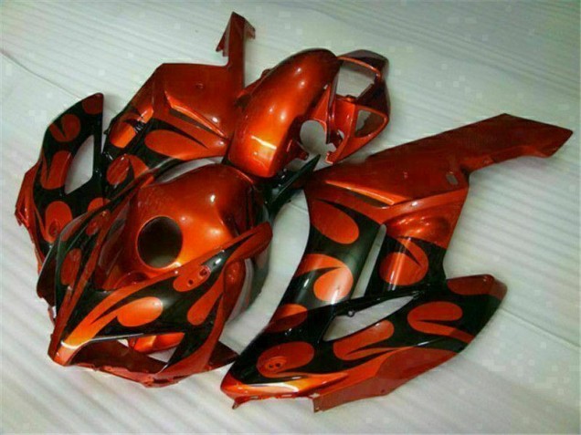 Honda CBR 1000 RR 04-05 Verkleidungen - Braun Schwarz Fabrik Honda CBR 1000 RR 04-05 Verkleidungen - Braun Schwarz Fabrik