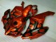 Honda CBR 1000 RR 04-05 Verkleidungen - Braun Schwarz Fabrik Honda CBR 1000 RR 04-05 Verkleidungen - Braun Schwarz Fabrik
