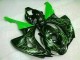 Honda CBR 1000 RR 06-07 Verkleidungen - Grüne Flamme Schwarz Fabrik Honda CBR 1000 RR 06-07 Verkleidungen - Grüne Flamme Schwarz Fabrik
