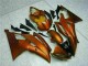 Yamaha R6 08-16 Verkleidungen - Orange Fabrik Yamaha R6 08-16 Verkleidungen - Orange Fabrik